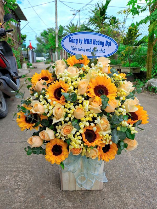 Hoa hướng dương khai trương