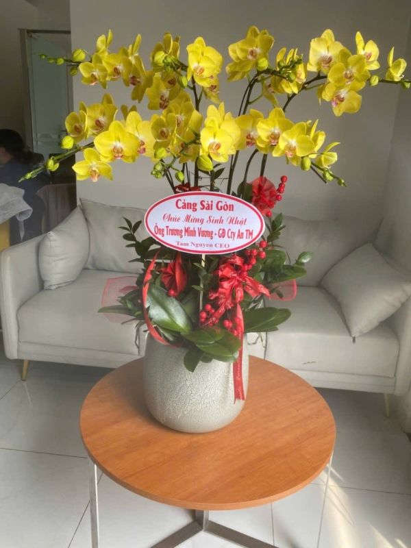 hoa chúc mừng