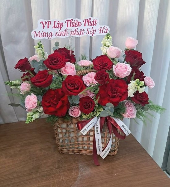 thiết kế chỉn chu